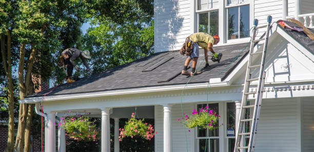 Best Roof Gutter Cleaning  in Auburn Lake Trails, CA