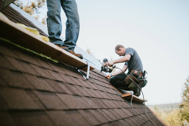 Best Roof Gutter Cleaning  in Auburn Lake Trails, CA